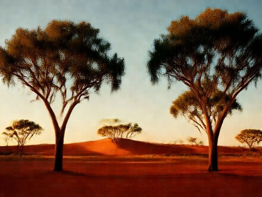 Gibson Desert landscape